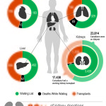 Data Pulse