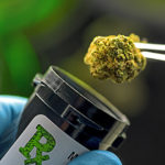 Medical Cannabis