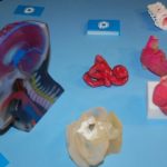 3D printed body parts