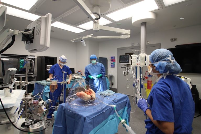 Saving organs, saving lives: Building the world’s first organ regeneration lab